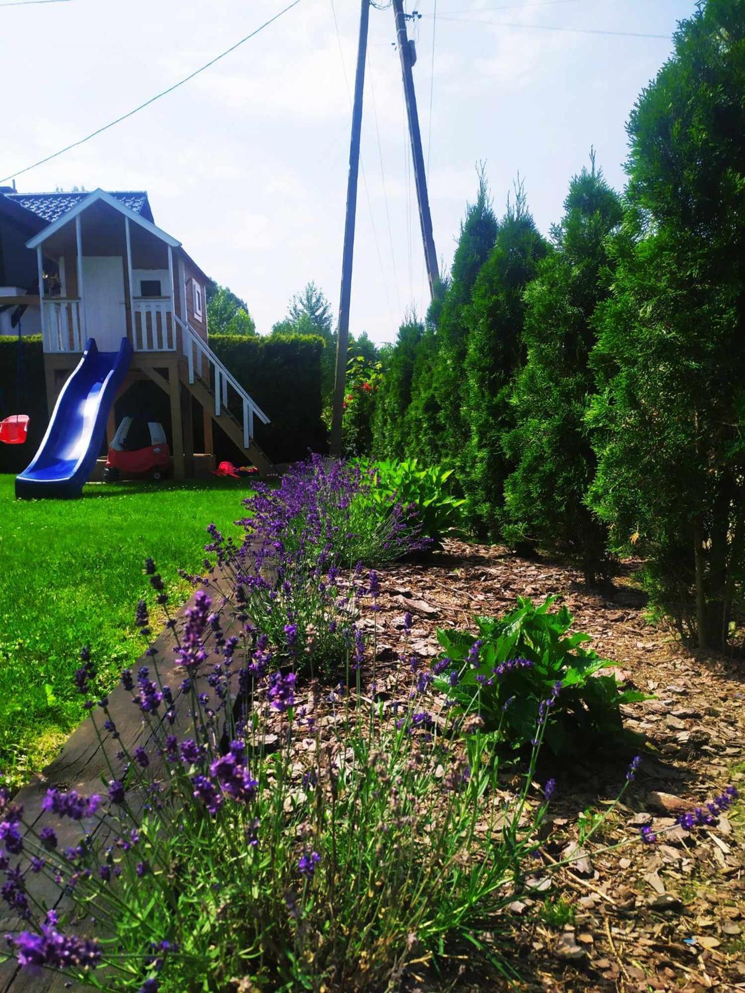 Zielony Apartament Bachowice