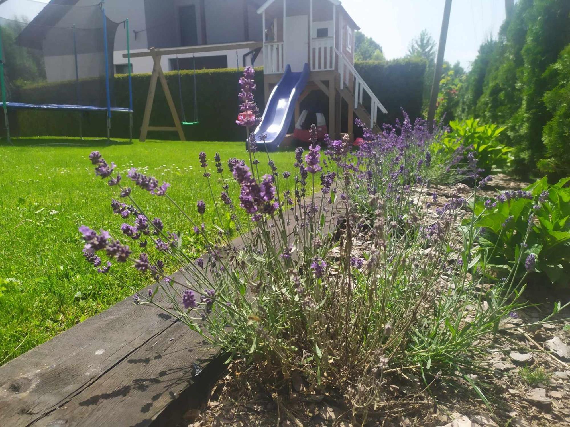 Zielony Apartament Bachowice